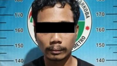 Seorang Pria Di Metro Ditangkap Polisi Bersama Puluhan Paket Tembakau Gorila