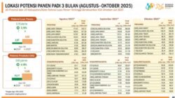Panen Raya di 10 Propinsi, Pasokan Beras Nasional Sangat Aman Dan Terkendali