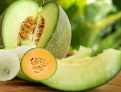 Ini 10 Manfaat Buah Melon Bagi Kesehatan
