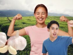 10 Manfaat Bawang Putih Untuk Kesehatan