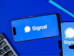 Ini 10 Cara Menjaga Privasi Dan Keamanan Di Aplikasi Signal