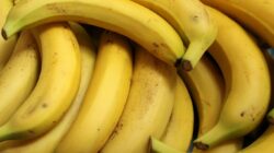 10 Manfaat Pisang Untuk Kesehatan Kita