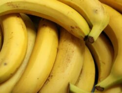 10 Manfaat Pisang Untuk Kesehatan Kita