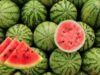 Ini 8 Manfaat Mengonsumsi Semangka Secara Rutin Untuk Kesehatan