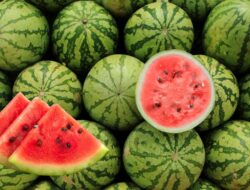 Ini 8 Manfaat Mengonsumsi Semangka Secara Rutin Untuk Kesehatan