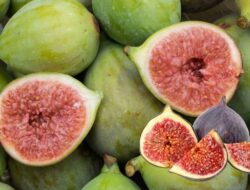 10 Manfaat Buah Tin Untuk Kesehatan Yang Menakjubkan