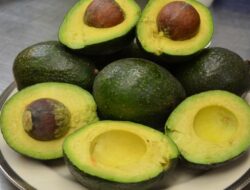 10 Manfaat Alpukat Bagi Kesehatan