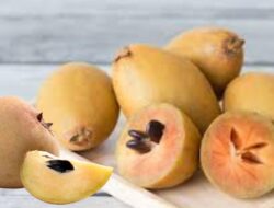 7 Manfaat Buah Sawo Untuk Kesehatan Yang Jarang Diketahui