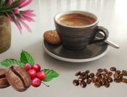 Ini 8 Manfaat Minum Kopi Bagi Kesehatan