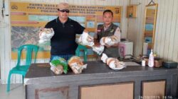 Polda Lampung Gagalkan Penyelundupan 6 Ekor Elang Di Bakauheni