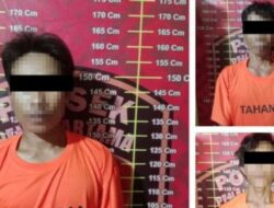 Polsek Penawartama Gagalkan Aksi Pencurian Sawit di PT SIP, Empat Pelaku Ditangkap