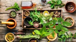 7 Tanaman Herbal Ini Solusi Atasi Rematik