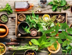 7 Tanaman Herbal Ini Solusi Atasi Rematik