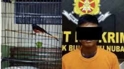 Tekab 308 Polsek Bumi Ratu Nuban Berhasil Meringkus Buronan Pencuri Murai Batu