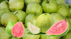 8 Manfaat Buah Jambu Biji Ini Baik Untuk Kesehatan