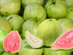 8 Manfaat Buah Jambu Biji Ini Baik Untuk Kesehatan