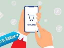 Ikuti Tips Bijak Menggunakan Pay Later Ini Agar Terhindar Dari Utang Menumpuk