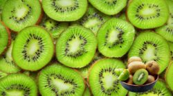 Ini 7 Manfaat Buah Kiwi, Superfood Kaya Nutrisi Bagi Kesehatan
