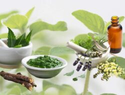 Sambiloto, Tanaman Herbal Yang Punya 7 Manfaat Untuk Kesehatan