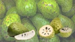 7 Manfaat Buah Sirsak Untuk Kesehatan Yang Menakjubkan