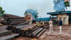 Dua Tersangka Jaringan Peredaran Kayu PHAT Ilegal Antar Pulau Dilimpahkan ke Kejaksaan Negeri Batam