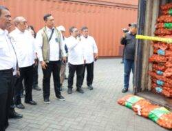 Impor Ilegal Bawang Bombai Terbongkar, Mentan Amran: Segera Tindak dan Telusuri, Tak Ada Toleransi