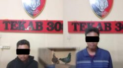 Polres Metro Ungkap Kasus Curat, Dua Tersangka Terlibat Pencurian Burung Dara