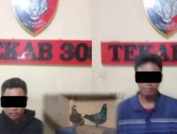 Polres Metro Ungkap Kasus Curat, Dua Tersangka Terlibat Pencurian Burung Dara