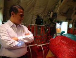 Hadapi Nataru, Pedagang Pastikan Pasokan Cabai Aman dan Harga Terkendali