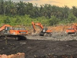 Gakkum Kehutanan Tindak Tegas Tambang Batubara Dalam Kawasan Cagar Alam Teluk Adang, Kalimantan Timur