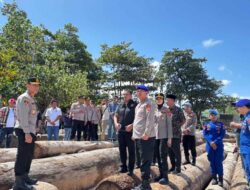 Sebulan Lebih 4.800 Kubik Kayu Dan Tongkangnya Terdampar Di Pesisir Barat, Masyarakat Pertanyakan Siapa Yang Bertanggungjawab