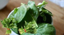 Ini 7 Manfaat Mengonsumsi Bayam Secara Rutin Untuk Kesehatan