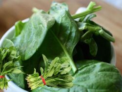 Ini 7 Manfaat Mengonsumsi Bayam Secara Rutin Untuk Kesehatan