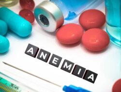 Ini Makanan Sehat Untuk Mengatasi Anemia