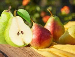 10 Manfaat Buah Pir Untuk Kesehatan Yang Menakjubkan