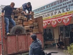 Komitmen Gakkum Kehutanan: Tersangka Kasus Pengangkutan Kayu Ilegal di Jalur Trans Palu – Tolitoli Siap Disidangkan