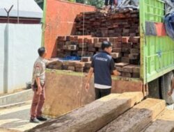 Gakkum Kehutanan Gagalkan Pengangkutan Ratusan Batang Kayu Tanpa Dokumen Sah di Pelabuhan Makassar