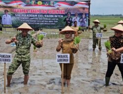 Tanam Padi Serentak di Lampung Timur, Kodam XXI/Radin Inten Dorong Lompatan Produksi Pangan