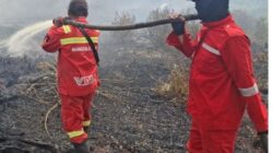 Sumatera Mulai̇ Memanas, Kemenhut Turunkan Manggala Agni