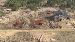 Kayu Hanyutan Pascabanjir Dimanfaatkan untuk Pemulihan Warga