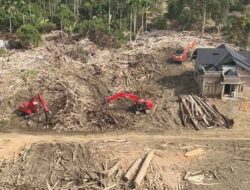 Kayu Hanyutan Pascabanjir Dimanfaatkan untuk Pemulihan Warga