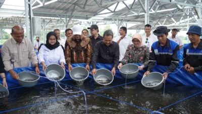 KKP Proyeksikan Boyolali Jadi Pusat Penghasil Lele di Jateng