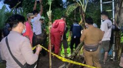 Polsek Pulau Panggung dan Inafis Polres Tanggamus Identifikasi Temuan Mayat di Irigasi Sawah