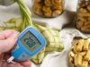 Penderita Diabetes Perlu Hindari 6 Makanan Ini Selama Lebaran