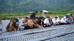Mentan Amran dan Gubernur NTB Tanam Bawang Putih Bersama Petani Sembalun, Percepat Jalan Menuju Swasembada