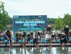 Peringati Hari Lahan Basah Sedunia 2026, Menhut Tekankan Peran Mangrove bagi Ekologi dan Ekonomi Pesisir