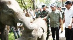 Gubernur Lampung Apresiasi Presiden Yang Siapkan Rp 839 Miliar Untuk Way Kambas