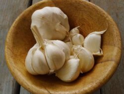 Bawang Putih : Si Umbi Ajaib Penjaga Kesehatan Sejak Zaman Kuno