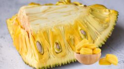 Nangka : Si Manis Berduri Yang Kaya Manfaat Untuk Kesehatan