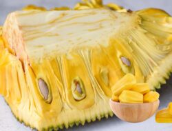 Nangka : Si Manis Berduri Yang Kaya Manfaat Untuk Kesehatan